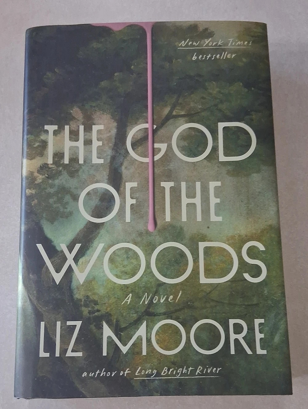 The God of the Woods by Liz Moore